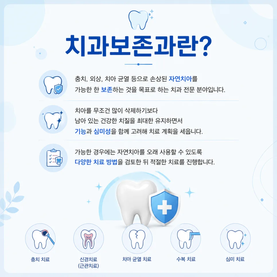 송도 치과 보존과 전문의, 자연치아를 살리는 진료 범위 관련 사진 2