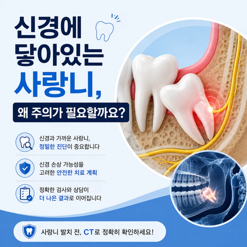 국제업무지구역 사랑니, 하치조신경과 가까울 때 확인하는 것 관련 사진 1