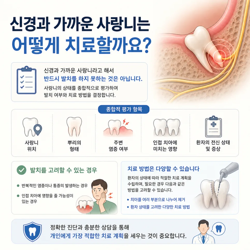 국제업무지구역 사랑니, 하치조신경과 가까울 때 확인하는 것 관련 사진 4