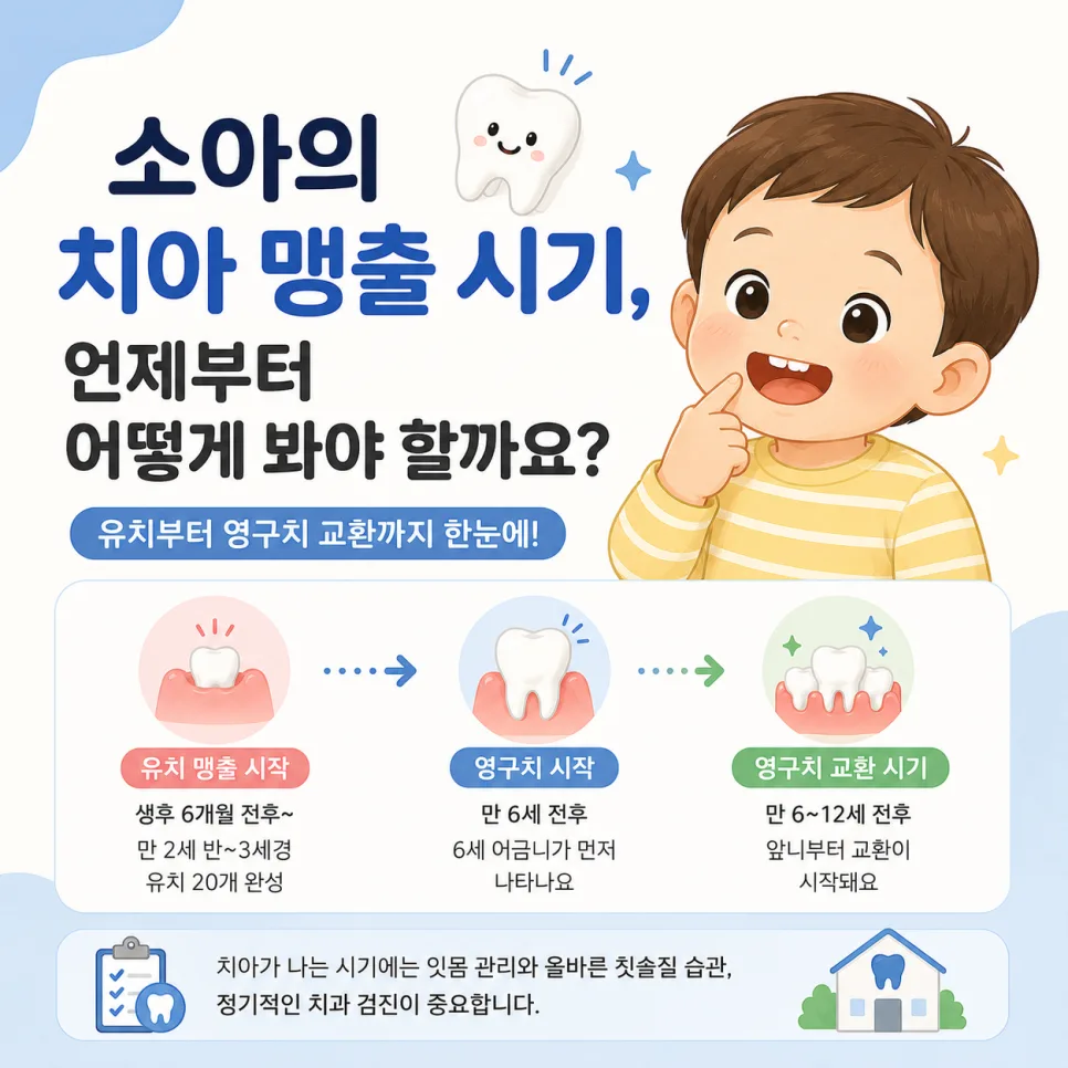 센트럴파크역 소아 치아 맹출 시기, 유치와 영구치 순서 안내 관련 사진 1