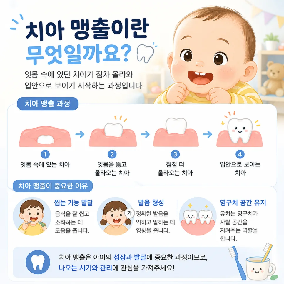 센트럴파크역 소아 치아 맹출 시기, 유치와 영구치 순서 안내 관련 사진 2