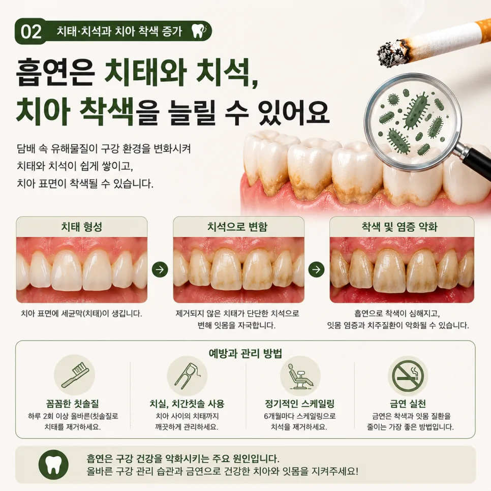 센트럴파크역치과 흡연이 치아와 잇몸에 주는 영향과 구강관리 관련 사진 3