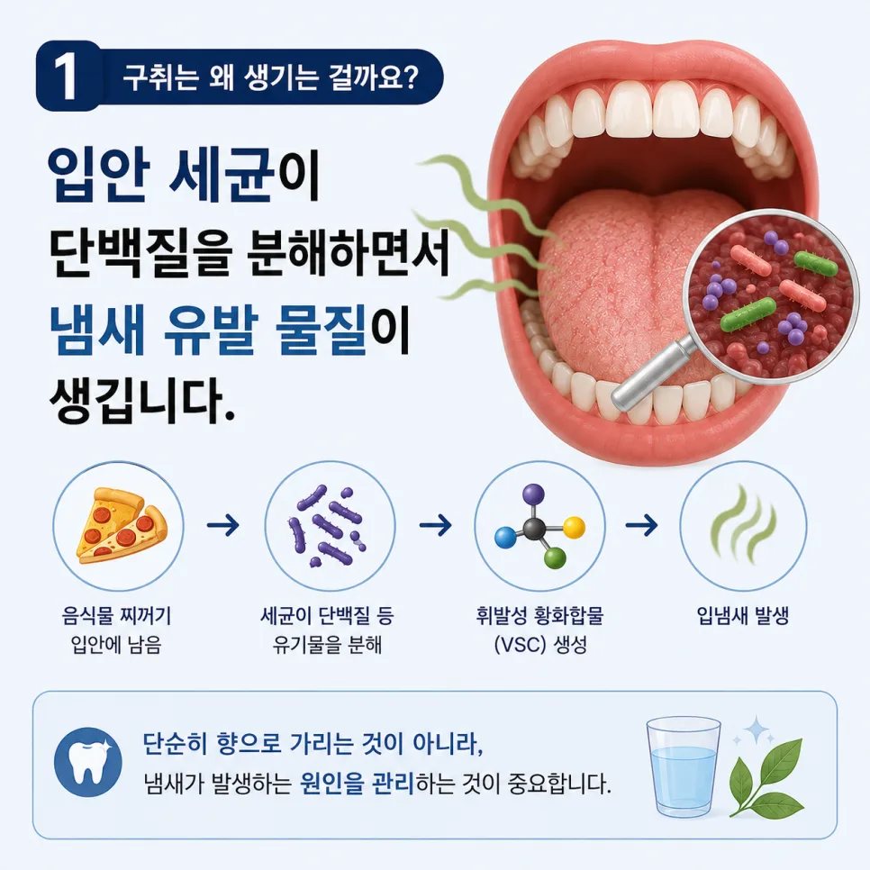 구월동치과 구취, 입냄새가 지속되는 원인과 관리 순서 관련 사진 2