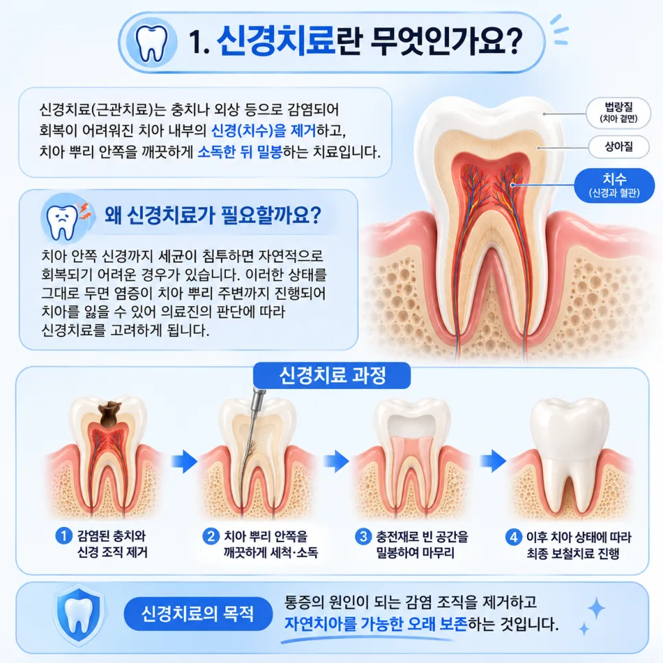송도 신경치료, 자연치아를 살리기 위한 근관치료 과정과 치료 후 관리 관련 사진 2